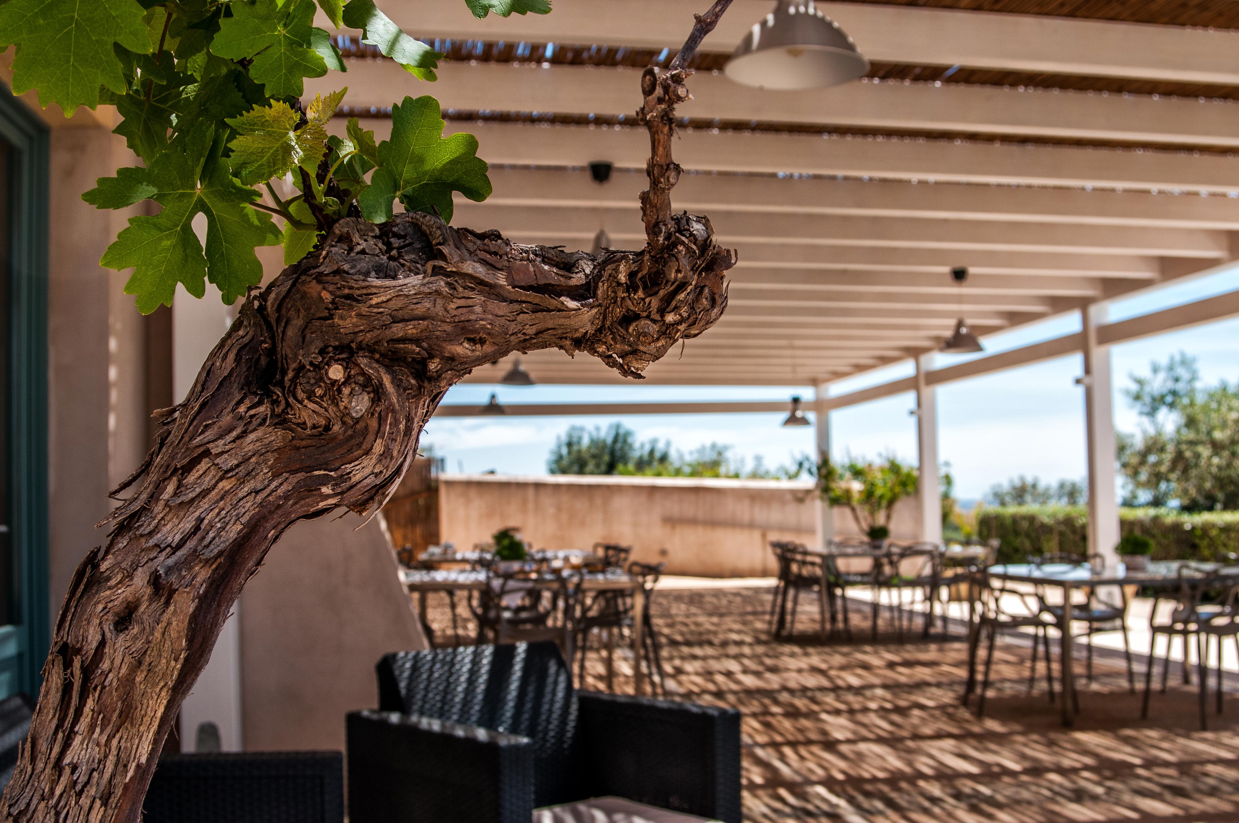 Relais Casina Miregia Hotel Menfi Exterior photo